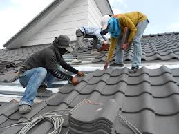 Best Roof Maintenance and Cleaning  in Appomattox, VA